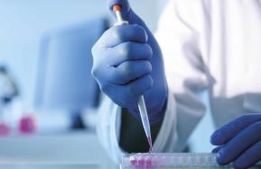 Luvas e vestuário para proteção química