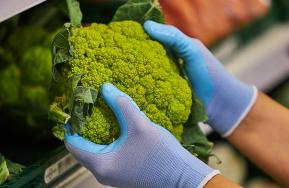 Novedades en guantes y manguito para uso alimentario