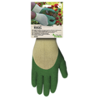 Gant Juba garden - H254G GARDEN
