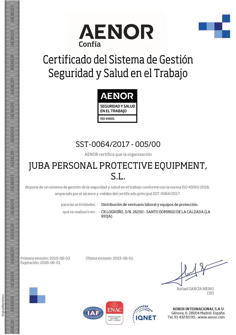 GESTIÓN DE SEGURIDAD Y LA SALUD EN EL TRABAJO