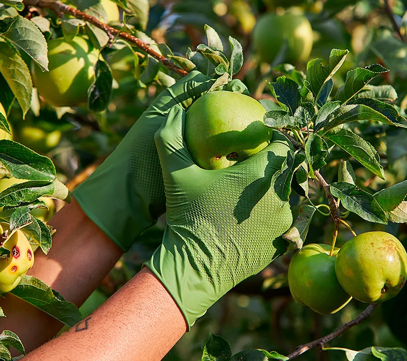 Nitrile Gloves - H580MG GARDEN Uso