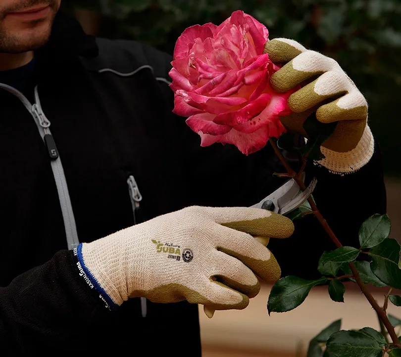 Latex Gloves Juba - H251NT NATURE Uso