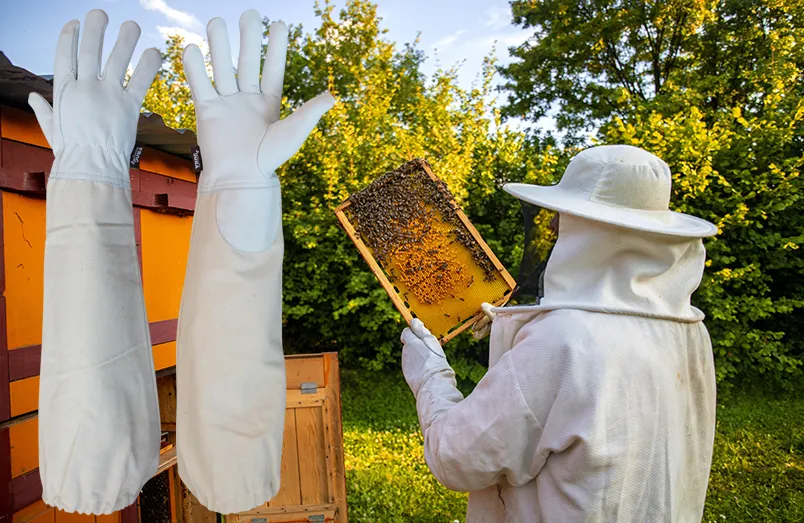 proteccion para abejas