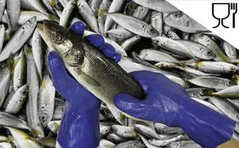 guantes para pescado