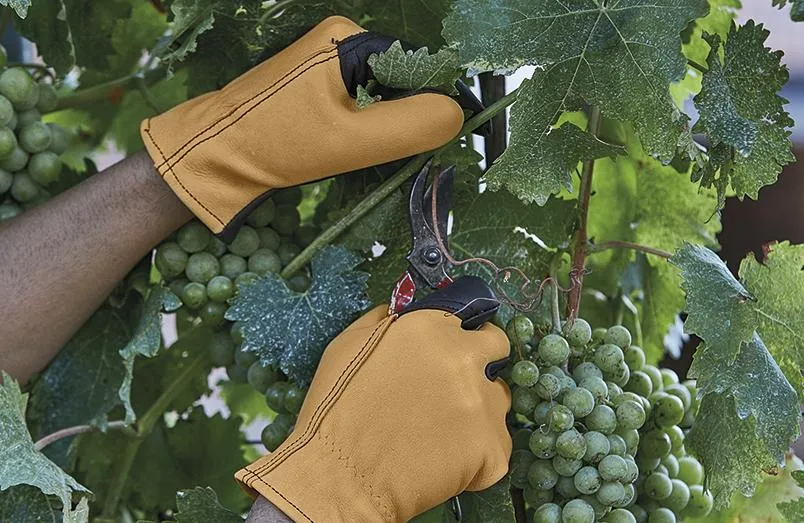 guantes recogida de fruta