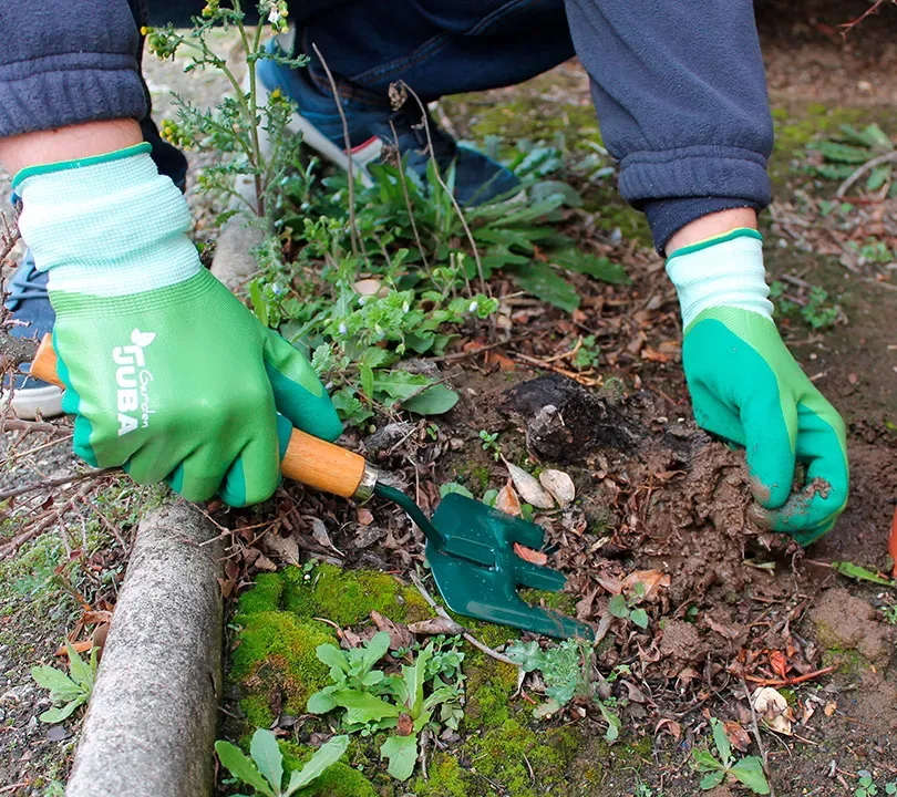 GUÍA: Cómo elegir los mejores guantes de jardinería esta primavera