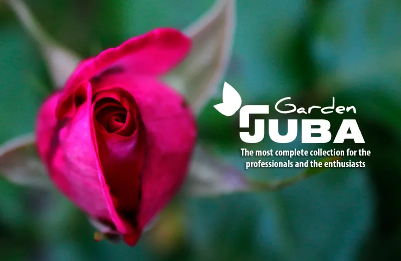 juba garden