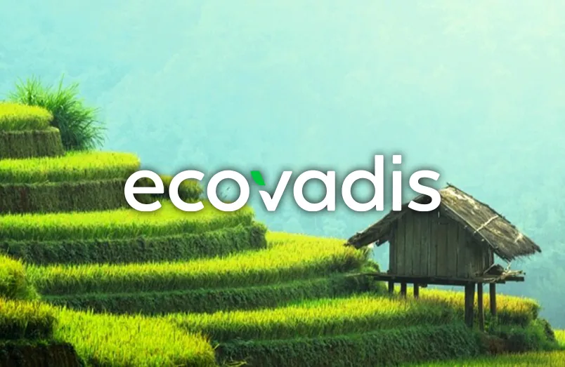 ecovadis