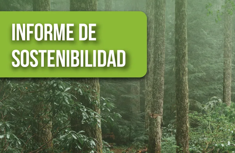 informe sostenibilidad