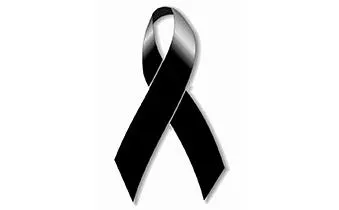 JUBA colabora con los servicios de rescate franceses del accidente del Airbus A320 de Germanwings.