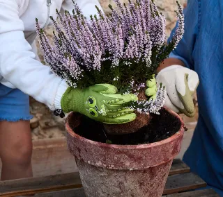 Luvas de látex Juba - H253 GARDEN Uso