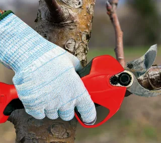 Uncoated Gloves Juba - HTE100 Garden Uso