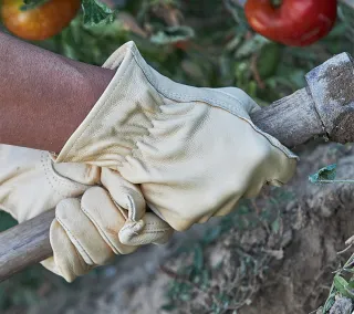 Glove Juba - H411IN GARDEN Uso